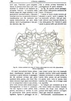 giornale/TO00210416/1897/unico/00000414