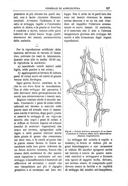 L' Italia agricola giornale di agricoltura