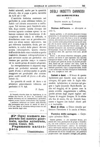 L' Italia agricola giornale di agricoltura