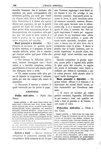 L' Italia agricola giornale di agricoltura