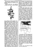 giornale/TO00210416/1897/unico/00000468