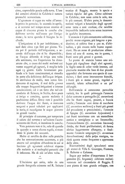 L' Italia agricola giornale di agricoltura