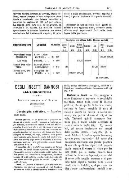 L' Italia agricola giornale di agricoltura