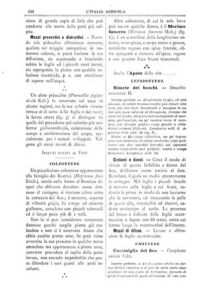 L' Italia agricola giornale di agricoltura