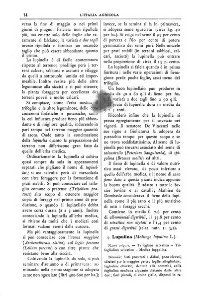 L' Italia agricola giornale di agricoltura