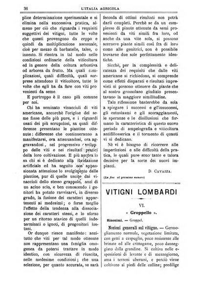 L' Italia agricola giornale di agricoltura