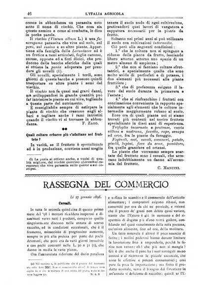 L' Italia agricola giornale di agricoltura