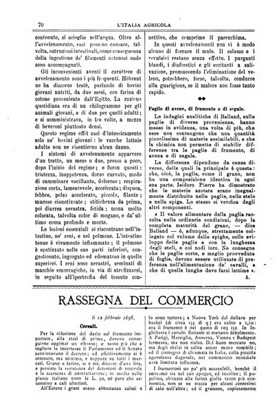 L' Italia agricola giornale di agricoltura