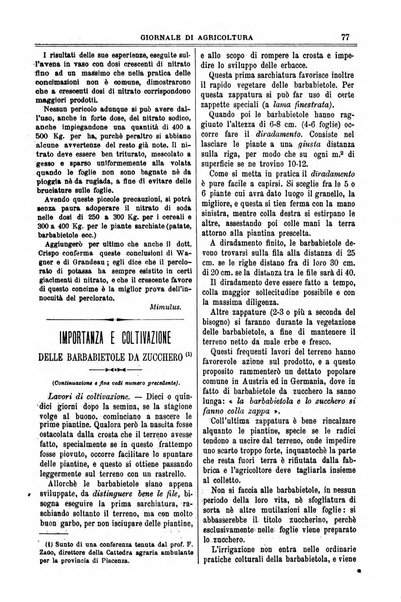 L' Italia agricola giornale di agricoltura