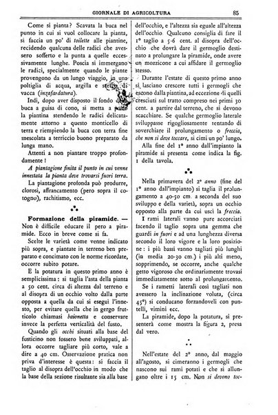 L' Italia agricola giornale di agricoltura