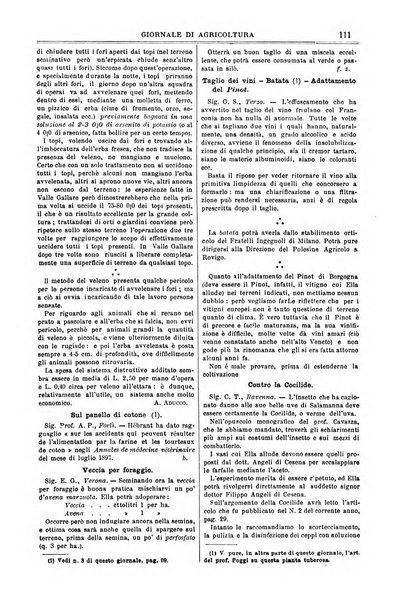 L' Italia agricola giornale di agricoltura