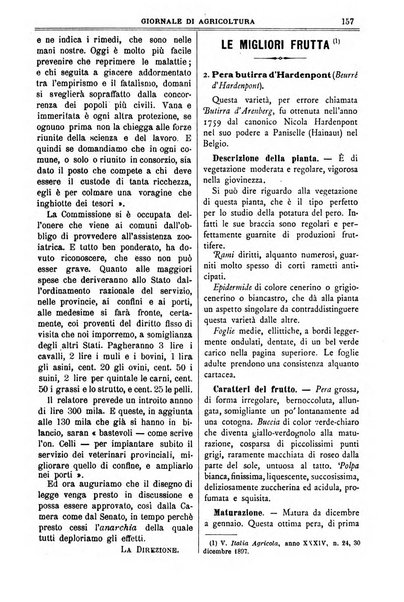 L' Italia agricola giornale di agricoltura