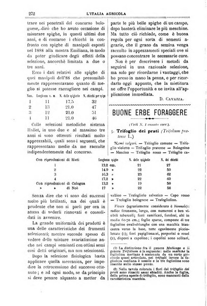 L' Italia agricola giornale di agricoltura