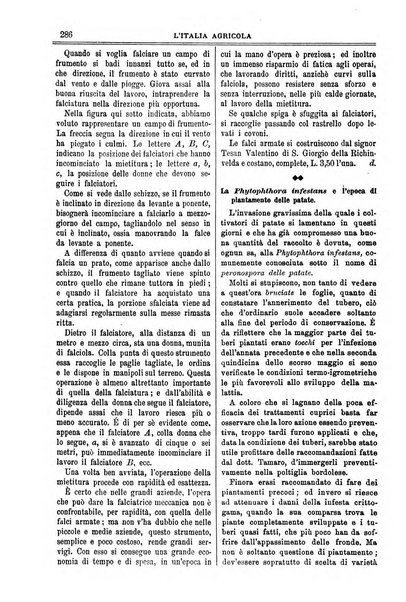 L' Italia agricola giornale di agricoltura