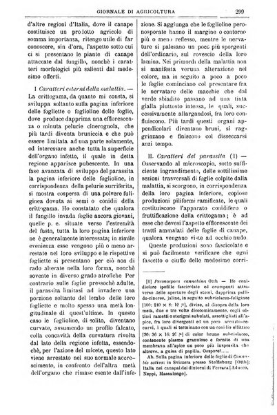 L' Italia agricola giornale di agricoltura