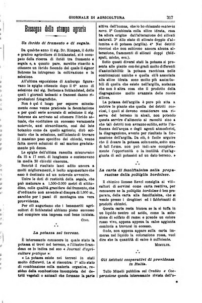 L' Italia agricola giornale di agricoltura