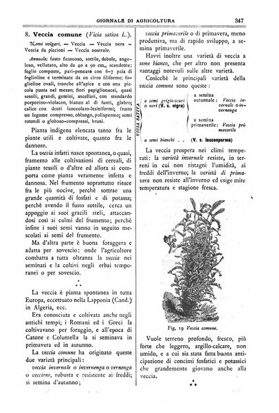 L' Italia agricola giornale di agricoltura