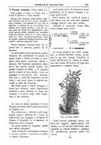 giornale/TO00210416/1898/unico/00000445