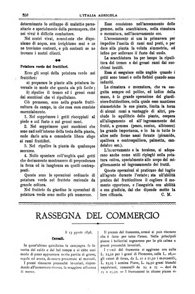 L' Italia agricola giornale di agricoltura