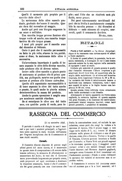 L' Italia agricola giornale di agricoltura