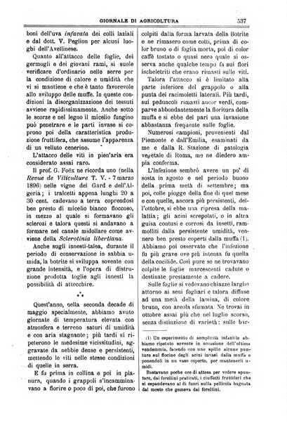 L' Italia agricola giornale di agricoltura