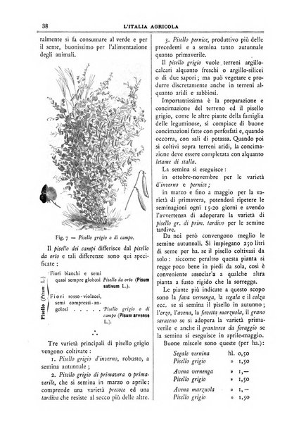 L' Italia agricola giornale di agricoltura