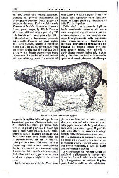 L' Italia agricola giornale di agricoltura