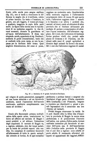 L' Italia agricola giornale di agricoltura