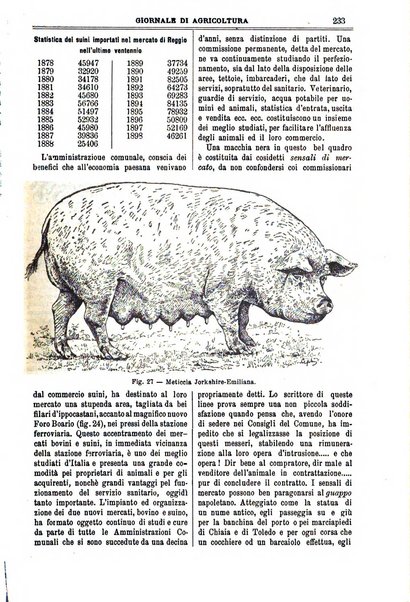 L' Italia agricola giornale di agricoltura