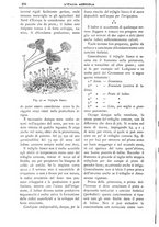 giornale/TO00210416/1899/unico/00000344