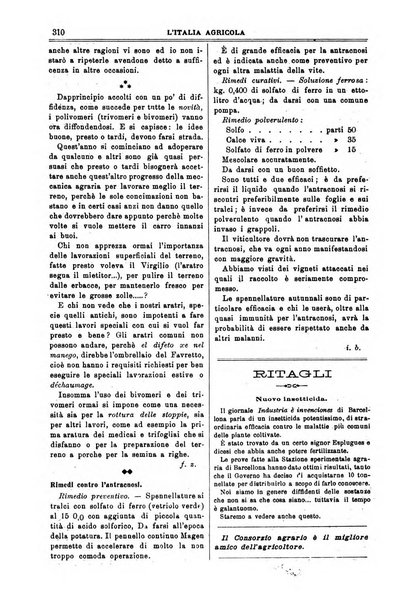 L' Italia agricola giornale di agricoltura