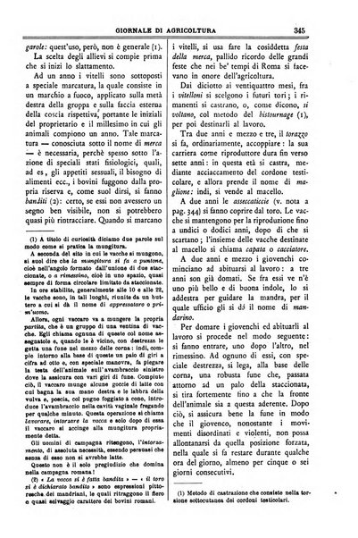 L' Italia agricola giornale di agricoltura