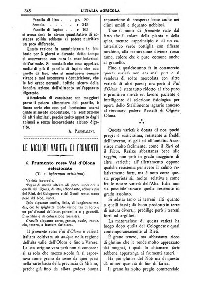 L' Italia agricola giornale di agricoltura