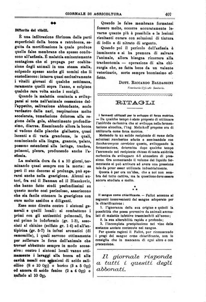 L' Italia agricola giornale di agricoltura