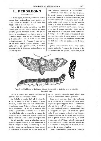 L' Italia agricola giornale di agricoltura