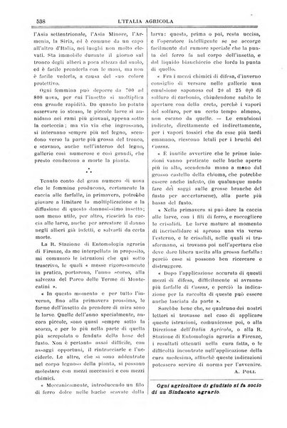 L' Italia agricola giornale di agricoltura