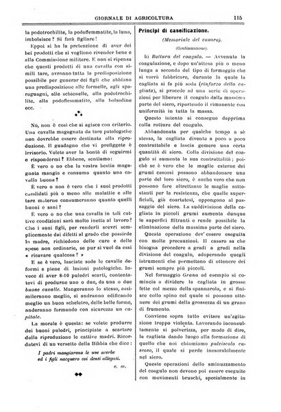 L' Italia agricola giornale di agricoltura