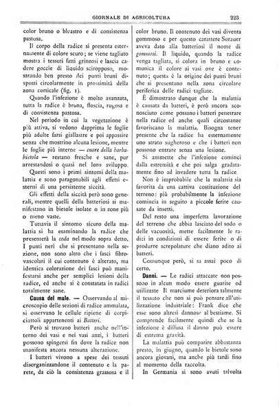 L' Italia agricola giornale di agricoltura