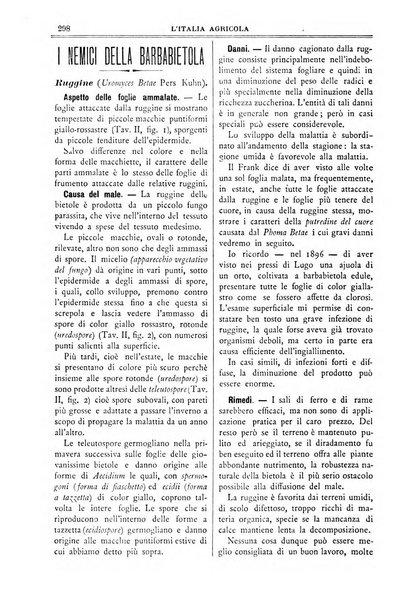 L' Italia agricola giornale di agricoltura