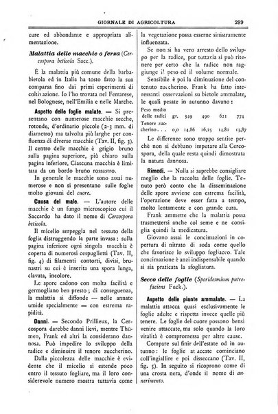 L' Italia agricola giornale di agricoltura