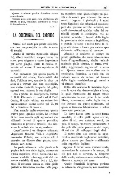 L' Italia agricola giornale di agricoltura