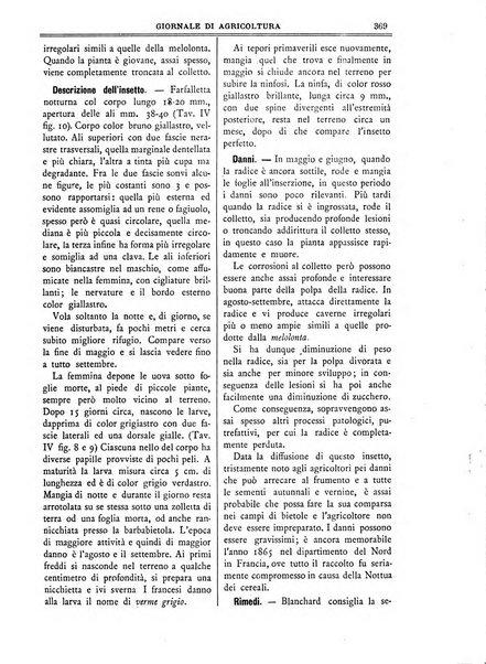 L' Italia agricola giornale di agricoltura