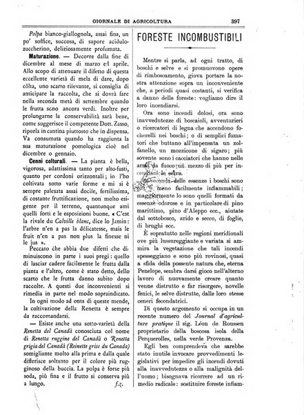 L' Italia agricola giornale di agricoltura