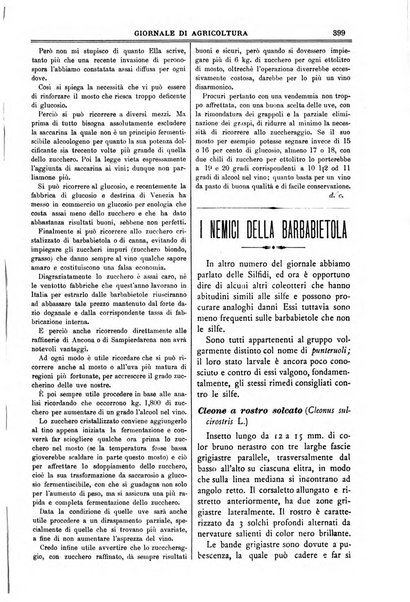 L' Italia agricola giornale di agricoltura