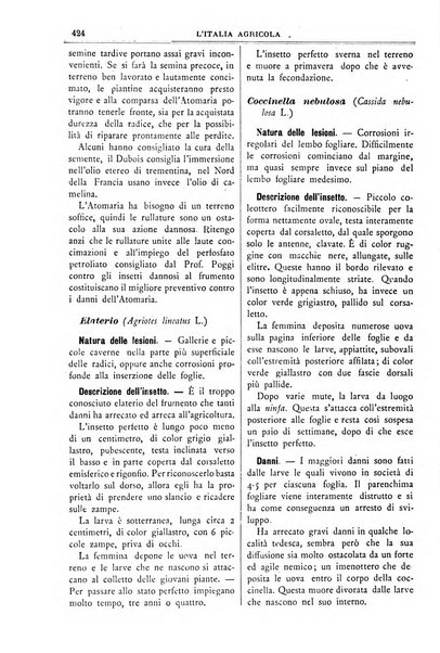 L' Italia agricola giornale di agricoltura