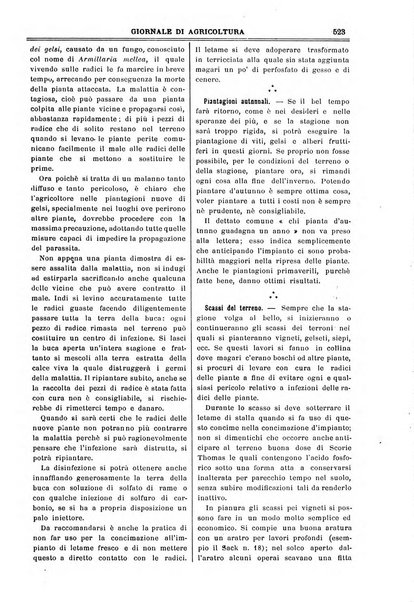 L' Italia agricola giornale di agricoltura