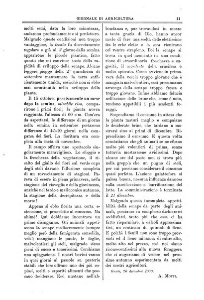 L' Italia agricola giornale di agricoltura