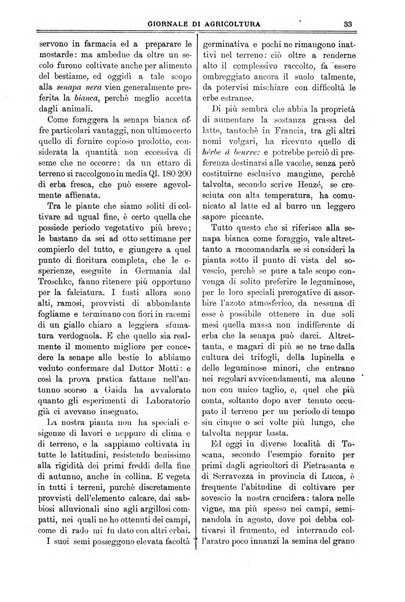 L' Italia agricola giornale di agricoltura