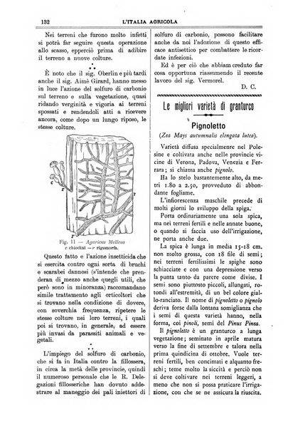 L' Italia agricola giornale di agricoltura