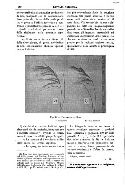 L' Italia agricola giornale di agricoltura